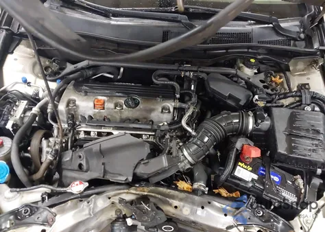 2010 Honda Accord 2.4 Ex-L из США, поврежденный, VIN 1HGCP2F83AA105971